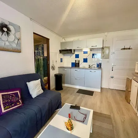 Apartment 2 Pieces 4 Couchages St Cyprien Sc510-95c