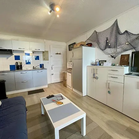 Apartment 2 Pieces 4 Couchages St Cyprien Sc510-95c